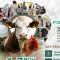 Nusantara Livestock & Poultry Expo 2026 Angkat Tema Pangan Tangguh di ICE BSD