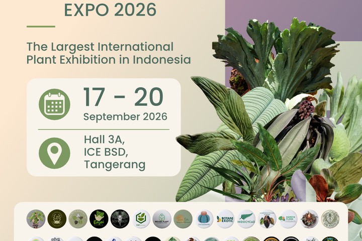 Featured image of post FLOII 2026 Expo Tanaman Hias dan Gaya Hidup Alam Hadir di ICE BSD Hall 3A