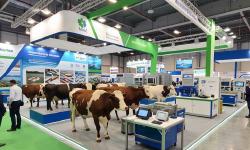 Featured image of post ILDEX Indonesia 2026 Pameran Peternakan Internasional di ICE BSD Tangerang