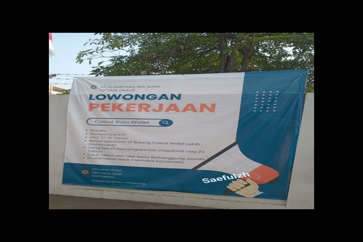 Featured image of post Lowongan Kerja Cabut Bulu Walet di PT Nusantara Inti Alam Optima (NIAO), Rajeg Kabupaten Tangerang
