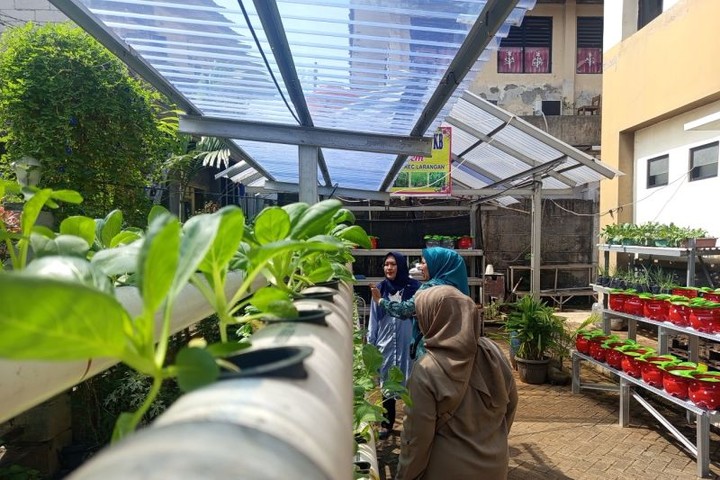 Featured image of post Urban Farming di Kota Tangerang: Ketahanan Pangan dari Pekarangan Rumah