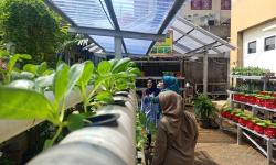 Featured image of post Urban Farming di Kota Tangerang: Ketahanan Pangan dari Pekarangan Rumah