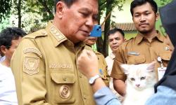 Featured image of post Vaksinasi Rabies dan Sterilisasi Gratis untuk Hewan Peliharaan Warga Kabupaten Tangerang